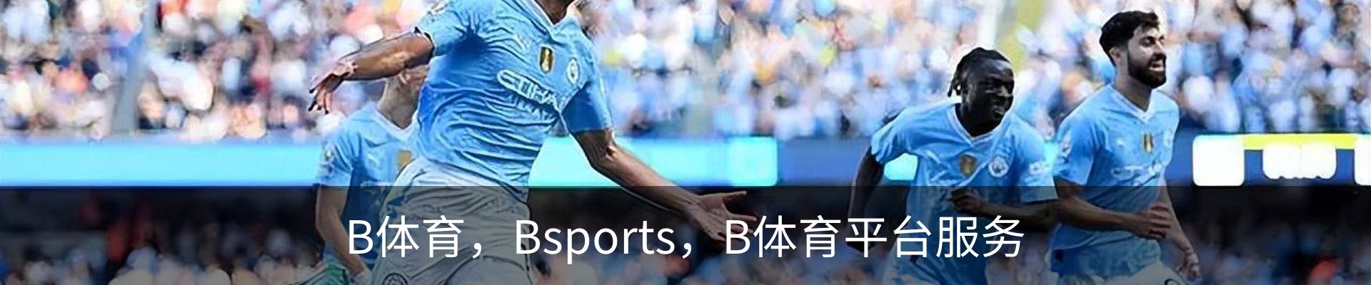 B体育，Bsports，B体育平台服务